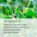 Premium Oregano Oil (10ml) - Natural Etheric Essential Oil for Wellness & Immune Support - Fast International Shipping - Buy Online on GoSupps.com