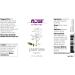 Now Foods Solutions Jasmine Oil 1 fl oz - Aromatherapy & Skin Care - Buy Online on GoSupps.com