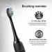 Lovely Land Sonic Electric Toothbrush for Adults | 5 Modes | Rechargeable with 4 Brush Heads | Smart Timer | Whitening - Buy Online on GoSupps.com