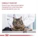 ROYAL CANIN Urinary Care Cat Food 2 kg Variety 2 kg (Pack of 1) - Buy Online on GoSupps.com