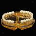 LBYLYH Adult Tooth Replica Model - Medical Dental Teaching Tool for Professionals - International Shipping Available - Buy Online on GoSupps.com