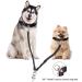 Kelivi Double Dog Lead Coupler - No Tangle 360 Swivel, Adjustable Bungee Reflective Dual Leash for Medium Large Dogs - Black - Buy Online on GoSupps.com