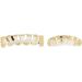 Hip Hop Teeth Brace Teeth Protection Hip Hop Teeth Charming Alloy for Halloween Party for Men for Concert for Hip Hop Fashion Shows for Women(gold) - Buy Online on GoSupps.com