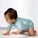 Splash About Happy Nappy Wetsuit - Sunny Bear, 3-6 Months - Buy Online on GoSupps.com