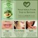 Natural Born Oils Avocado Oil 1 Gallon Organic Cold-Pressed Vitamins & Minerals Deep Skin Conditioning Hair Revitalization 128 Fl Oz (Pack of 1) - Buy Online on GoSupps.com