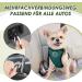Shop Eyin Dog Harness with Seat Belt | Adjustable & Breathable 2 Carabiner Hooks - Green Size S - Ultimate Pet Safety for Cars - Buy Online on GoSupps.com