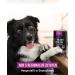 Tales & Tails Let me Entertain You Wet dog food | With 75% duck as animal protein source | Monoprotein | High acceptance and tolerance | 12 x 400 g - Buy Online on GoSupps.com