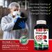 FITO MEDIC'S Lab 800mg Chlorophyll Softgels- Detox Cleanse Greens Supplement - Buy Online on GoSupps.com