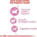 Royal Canin - Sterilized Kitten From 6 Months - 2 Kg Bag (1 Pack) - Buy Online on GoSupps.com