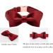 Lionet Paw's Christmas Dog Collar - Comfortable Silk with Removable Fly for Small Dogs (25-40cm) - Red - Perfect for Holiday Festivities - Buy Online on GoSupps.com