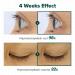 Buy Biotin Lash Serum for Eyelash & Eyebrow Growth | Thick Lashes & Brows | Korean Dermatologist Formula - 0.35oz - Buy Online on GoSupps.com