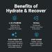 Wilderness Athlete Hydrate & Recover - Electrolyte Drink Mix with BCAAs and 1000mg Vitamin C - Grape Flavored Hydration Powder - 30 Servings - Buy Online on GoSupps.com