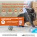 Wellness CORE Purely Pat Kitten Kitten Pate wet cat food grain-free high meat content po - Buy Online on GoSupps.com