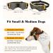 Lewondr UV Safety Sunglasses for Dogs | Windproof Waterproof & Adjustable Glasses for Small Dogs - Black & Gold - Buy Online on GoSupps.com