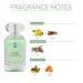 Ajmal Pure Power EDP For Men Made In Dubai - Buy Online on GoSupps.com