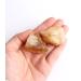 1PC Natural Raw Brazil Citrine Ore Crystal Rock Specimen Collection Home Decoration and DIY Gifts Fish Tank Stone Stones kaixun (Size : 15-30g) - Buy Online on GoSupps.com