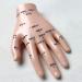 Acupuncture Hand Model Reflexology Acupoint Medical Study Kit - Buy Online on GoSupps.com
