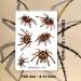 Ooopsiun 3D Halloween Spider Tattoos for Kids - 12 Sheets Halloween Spider Web Tattoos for Cosplay - Buy Online on GoSupps.com