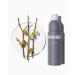 MANSPOT Ball Spray Deodorant for Men - Relieve Inflammation & Odor, Natural & Fragrance-Free - 2oz - Buy Online on GoSupps.com