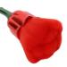 Nail Dust Brush - Elegant Rose Makeup Loose Powder Blush Brush for Nail Cleaning | Green Stick Red Bottom | International Shipping Available - Buy Online on GoSupps.com