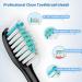 8Pcs Black Toothbrush Replacement Heads for Philips Sonicare Electric Toothbrushes - Buy Online on GoSupps.com
