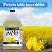 AVO Non-GMO Expeller Pressed Canola Oil - 1 Gallon | Certified & High-Quality - Buy Online on GoSupps.com