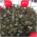 Stone Crafts Blue raw Natural Apatite Crystal Gemstone Reiki Crystal Stone Specimen Natural Luster - Buy Online on GoSupps.com