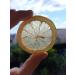 DEHYDRATED LEMON SLICING 100 GR without sugar 100% natural - Buy Online on GoSupps.com
