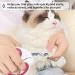Best Claw Scissors & Nail Clippers for Cats and Small Puppies | Cat Nail Cutters & Scissors - Buy Online on GoSupps.com