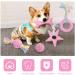 AnVerse 5 Pack Dog Toys Rope & Ball - Chewing & Dental Care Toys for Small Dogs - Pink - Buy Online on GoSupps.com