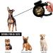 Buy Edipets Extendable & Retractable Dog Leash with LED Flashlight | Flexible Training & Walks | Military-Grade Quality for International Shipping - Buy Online on GoSupps.com