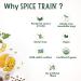 Organic Ginger Powder (397g/14 OZ) - 100% Raw Ground Ginger Root from India | Spice Train Gingerol for Cooking, Baking, Smoothies & Tea - Buy Online on GoSupps.com