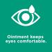 Systane Nighttime Lubricant Eye Ointment 2 Pack - Preservative-Free Relief for Dry Eyes | International Shipping Available - Buy Online on GoSupps.com