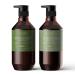 Theorie Green Tea & Bamboo Conditioner - Energizing Formula for Damaged Hair - Color & Keratin Safe - 800mL - Buy Online on GoSupps.com