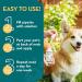 The Healthy Dog Co Spot On Flea and Tick Treatment for Dogs 100ml - Buy Online on GoSupps.com