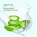 LE PETIT OLIVIER - Freshness Deodorant - Aloe Vera - Proven Effectiveness 24 hours - Alcohol-Free - Anti-Traces - 98% Natural Origin - Skin-Friendly - Made in France - 75 ml - Buy Online on GoSupps.com