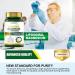 High Absorption Liposomal Magnesium L-Threonate 2000mg Softgels - Focus, Memory, Brain Health Supplement - Buy Online on GoSupps.com