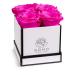 Soho Floral Arts | Roses in A Box | Genuine Roses that Last for Years (White Square 4ct, Radiant Pink) | Mothers Day Gifts White Square 4ct. Radiant Pink