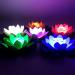 Yeehliny Solar Floating Lotus Lights - LED Waterproof Water Lily Night Lamp (2pc Green) for Pool & Garden Decoration - Buy Online on GoSupps.com