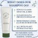 Organic Aloe & Coconut Oil Moisturizing Shampoo for Damaged Hair - Fragrance-Free Clarifying Formula for Men & Women - Ideal for Curly, Fine, Thick, Dry, or Oily Hair - Buy Online on GoSupps.com