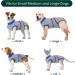 Kuoser Dog Recovery Suit - Post-Op Body for Male & Female Dogs | Breathable Leakage Protection & Anti-Licking | Gray L (1 Pack) - Buy Online on GoSupps.com