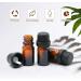 Reyshin 12Pcs 5ml Essential Oils Glass Bottles Amber Refillable Empty Essential Oil Bottle with Black Cap Sample Glass Bottle for Essential oil Diffuser Massage Oils Beauty Oil Mix (Amber 5ml) - Buy Online on GoSupps.com