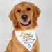 LAIYOHO Dog Bandanas My Humans are Getting Married Pet Bandanas Dog Wedding Bandana Wedding Pet Dog Bandana Scarf with Elegant Flower Leaves Diamond Patterns for Dogs Cats Lovers - Buy Online on GoSupps.com