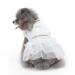Qcwwy dress for dogs princess dress made of mesh for small dogs and cats polyester fabric dog high -time dress comfortable breathable dog dress for summer (XL)