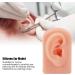 Flexible Reusable Human Ear Model - Soft & Easy to Use for Headphones Display and Acupuncture Training (Light Complexion) - Buy Online on GoSupps.com