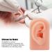 Fallen Ear Model - Soft Silicone Right Ear for Piercing Training & Headphone Display (Light Skin Color) - Reusable & Multi-Purpose - Buy Online on GoSupps.com