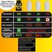 APIGENIN | 100% Natural | Chamomile Extract | Better Sleep | Relaxation | Vegetable Capsules | Wellness | NAD+ - Buy Online on GoSupps.com