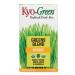 Kyolic Kyo-Green Energy Powered Drink Mix (5.3-Ounce),840280
