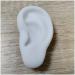Simulation Ear Model Artificial Simulation Human Ear Model for Acupuncture - Soft Silicone Ear Model for Ear Picking Practice Studs Earring Headset Display Props Left