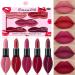 evpct 5Pcs Dark Deep Ruby Purple Rose Red Nude Pink Matte Velvet Lipstick Set Long Lasting Smudge Proof Lip Stick Packs Matte Lipstick Lip Stain Makeup Set for Women labiales matte larga duracion 24 5 Count (Pack of 1) B...